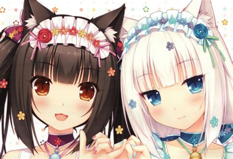 cat anime girl|40 Best Anime Cat Girls That Are Too Cute To Know